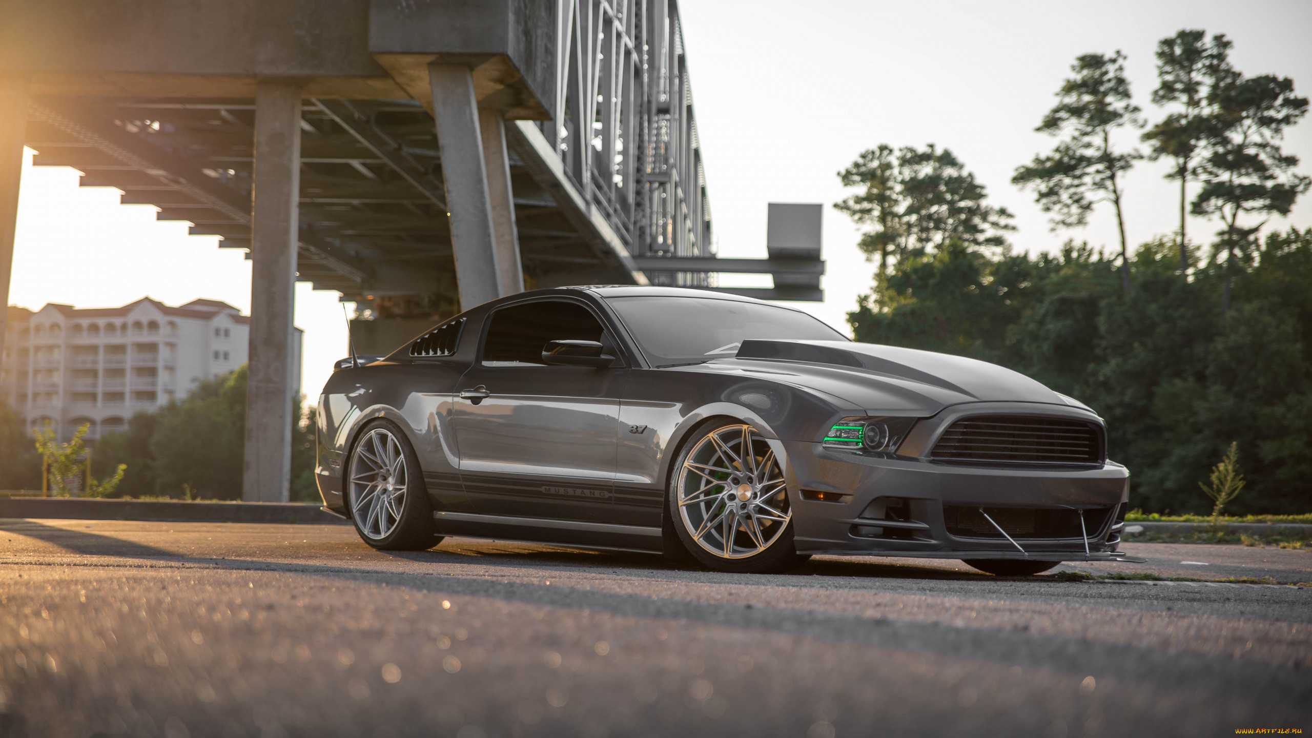 ford mustang gt, , mustang, ford, gt, shelby, gt500, , , , , 